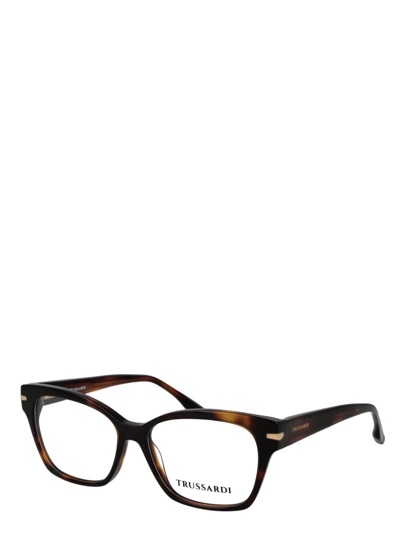 Brown Acetate Glasses (Frames)