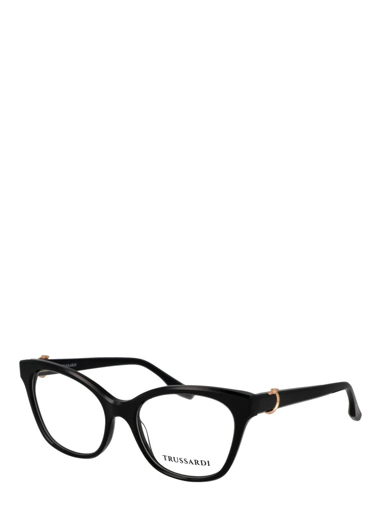 Black Acetate Glasses (Frames)