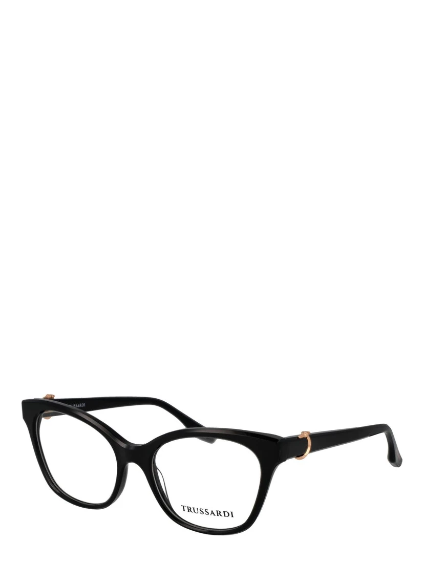 Black Acetate Glasses (Frames)