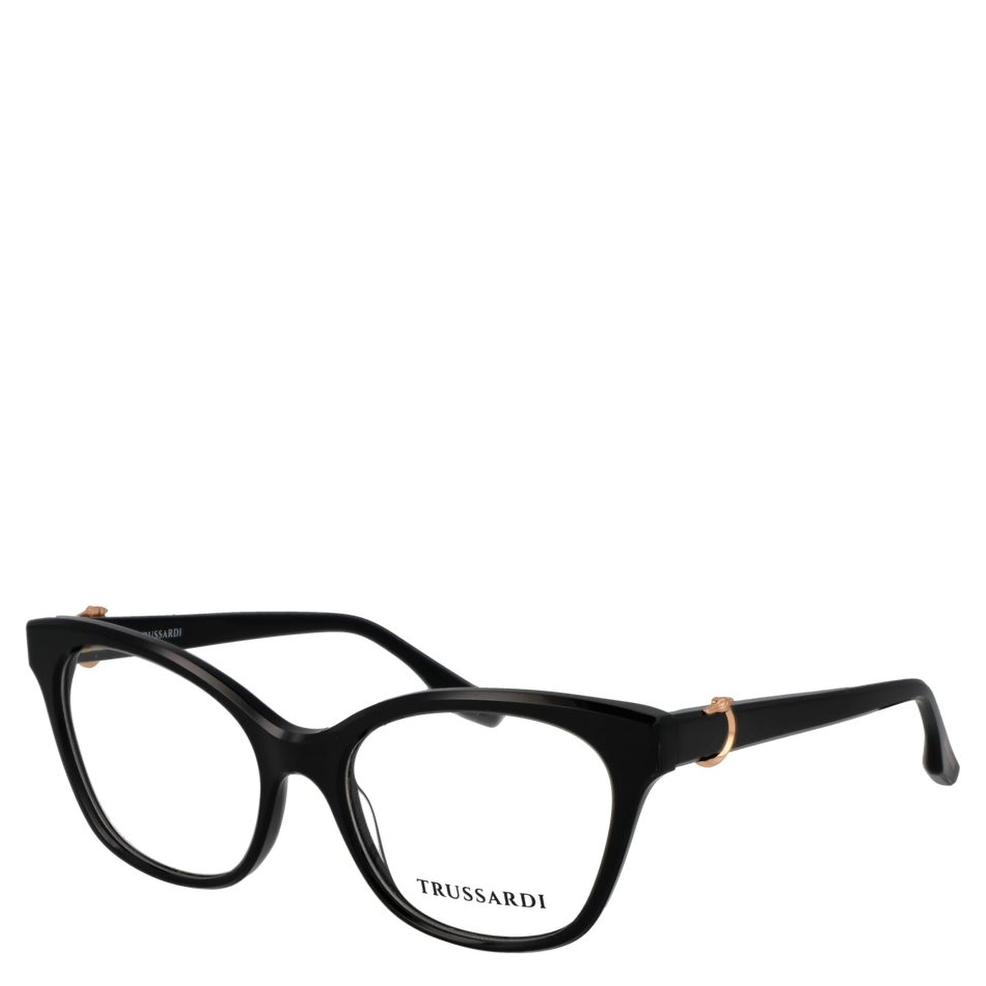 Black Acetate Glasses (Frames)