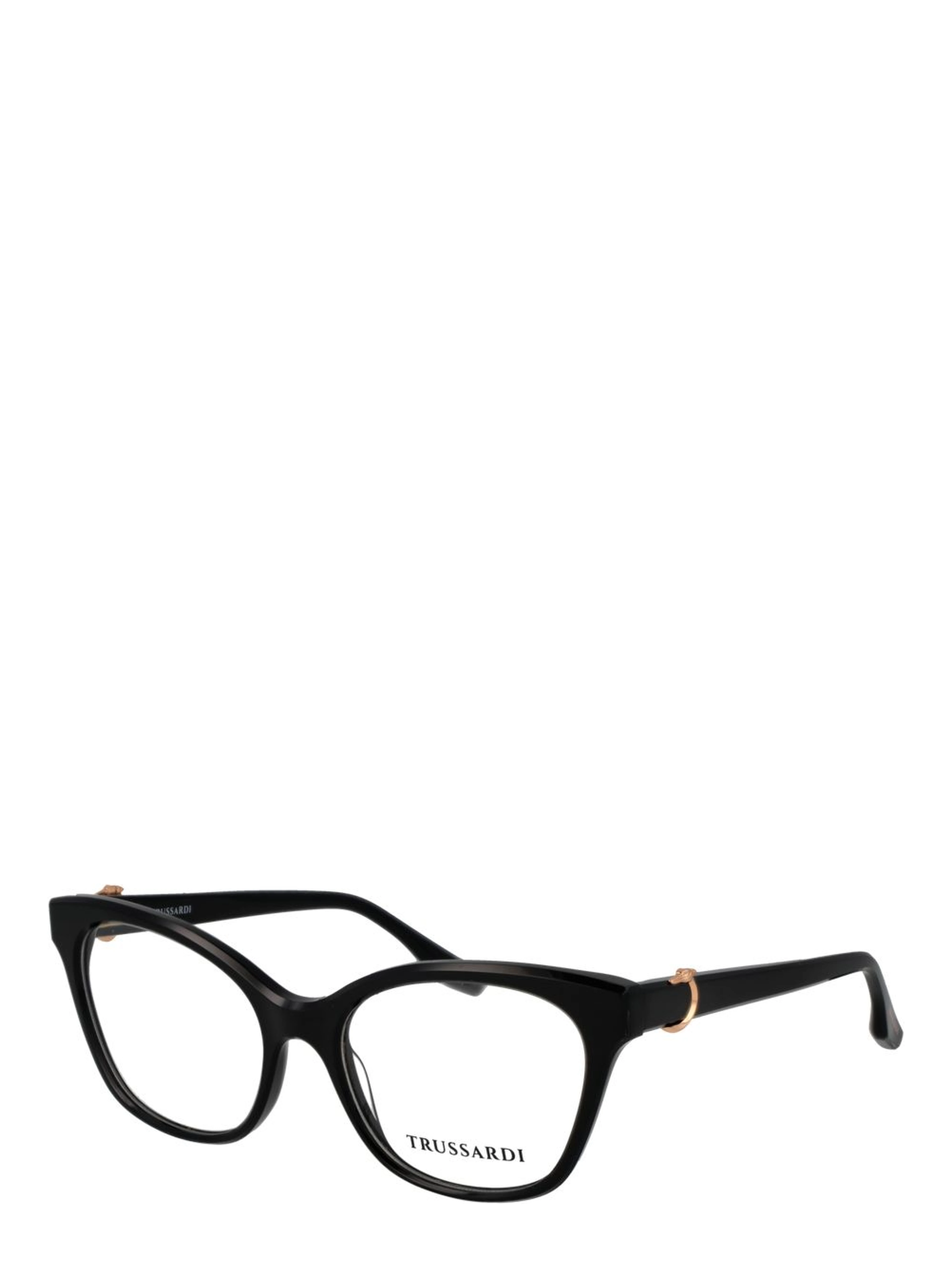 Black Acetate Glasses (Frames)