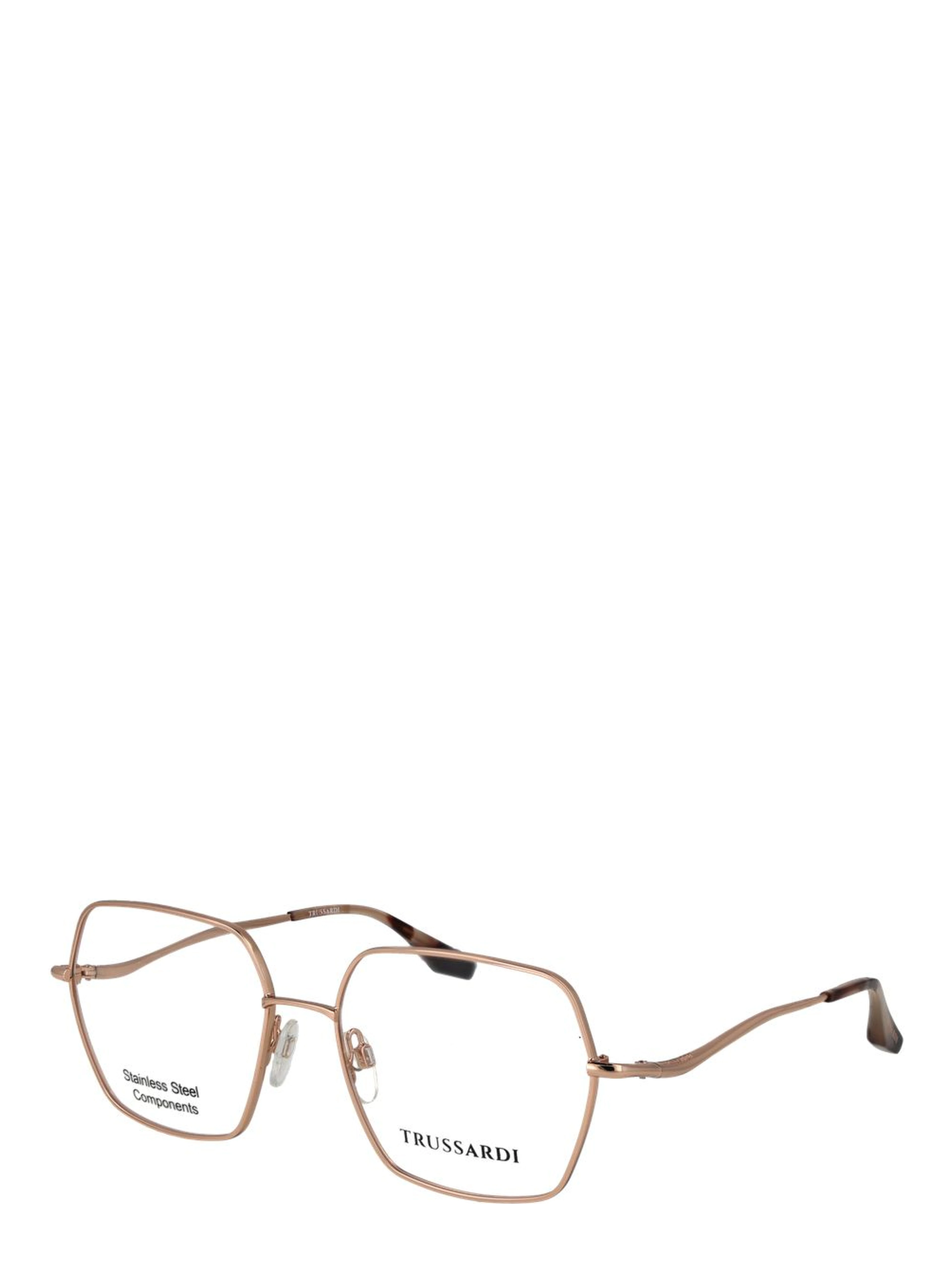 Rose Gold Stainless Steel Glasses (Frames)