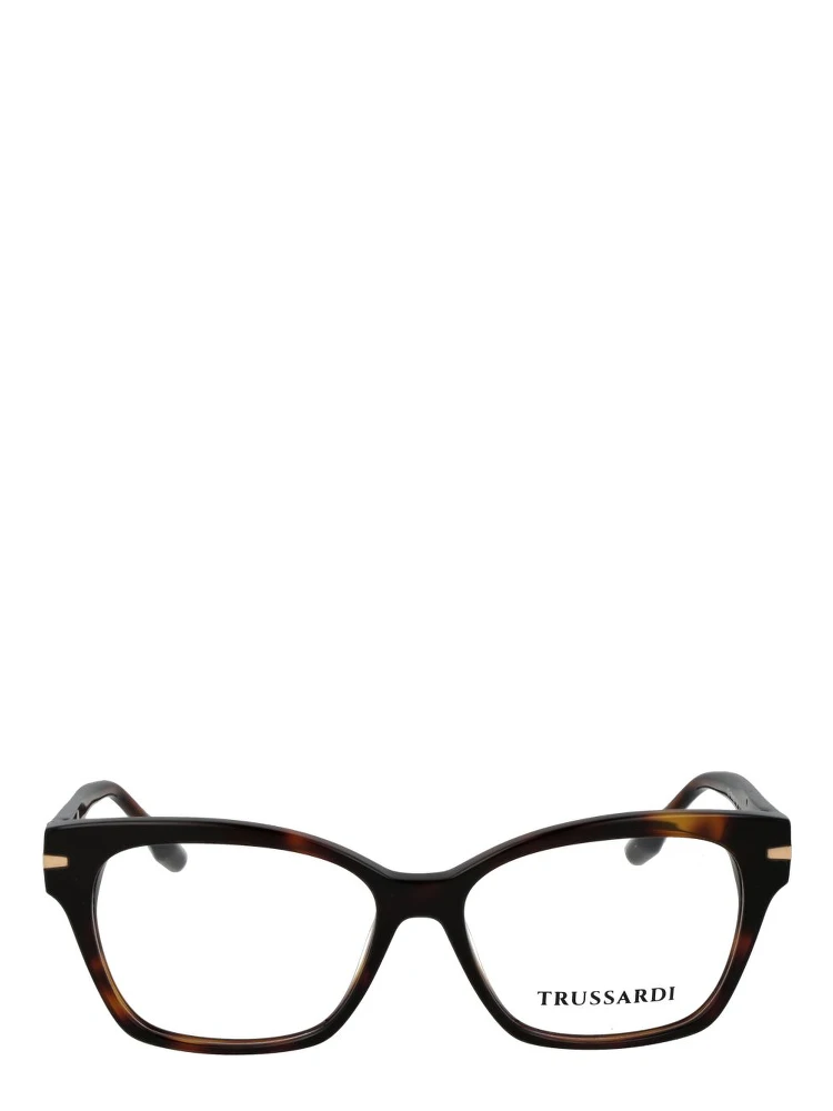 Brown Acetate Glasses (Frames) alternative