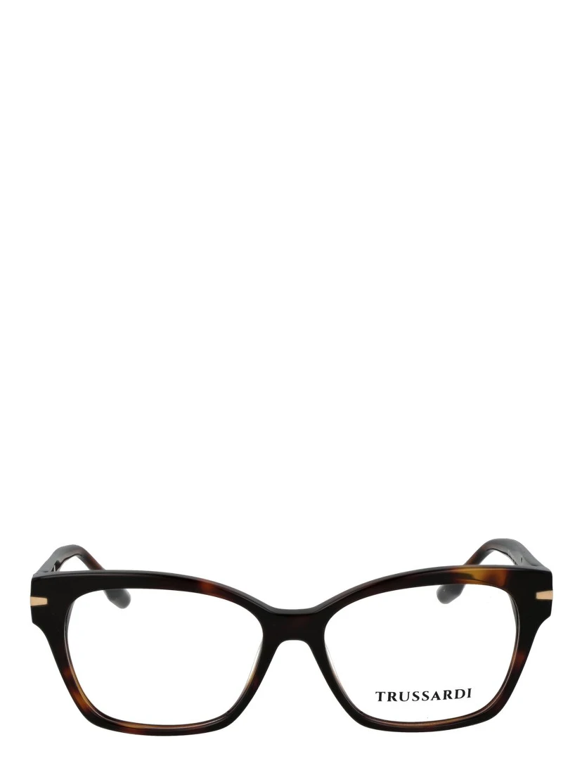 Brown Acetate Glasses (Frames)