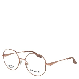 Pink Stainless Steel Glasses (Frames)