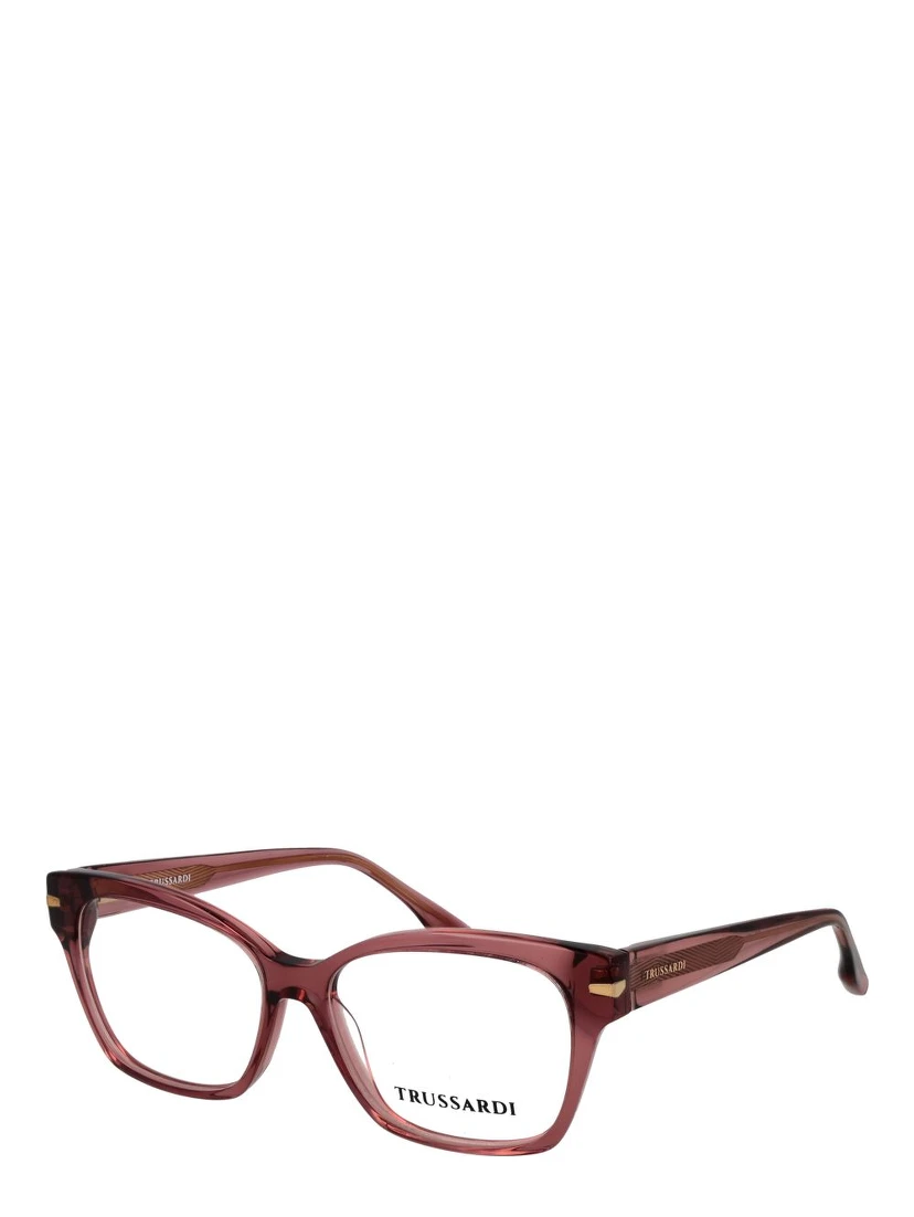 Pink Acetate Glasses (Frames)