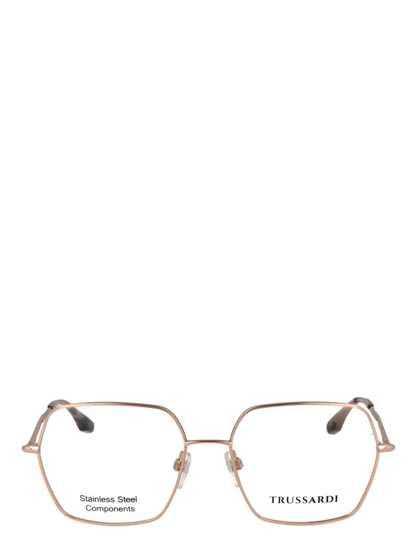 Rose Gold Stainless Steel Glasses (Frames)