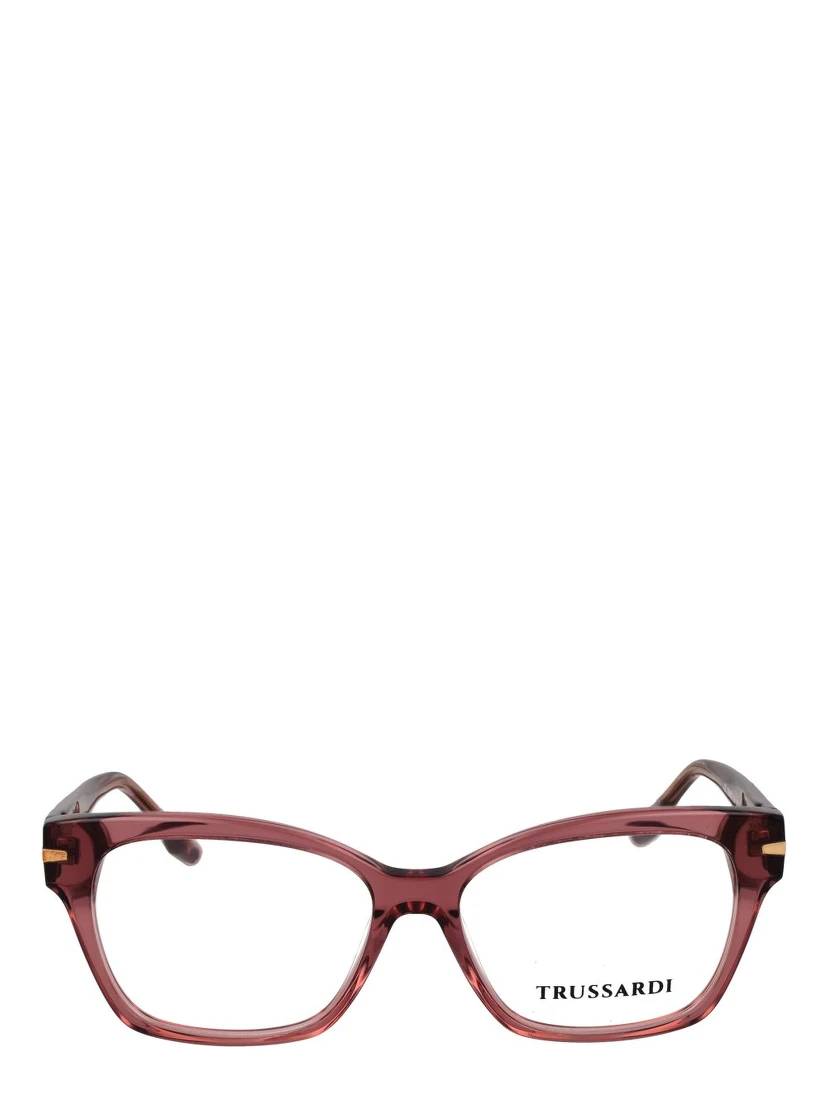 Pink Acetate Glasses (Frames)
