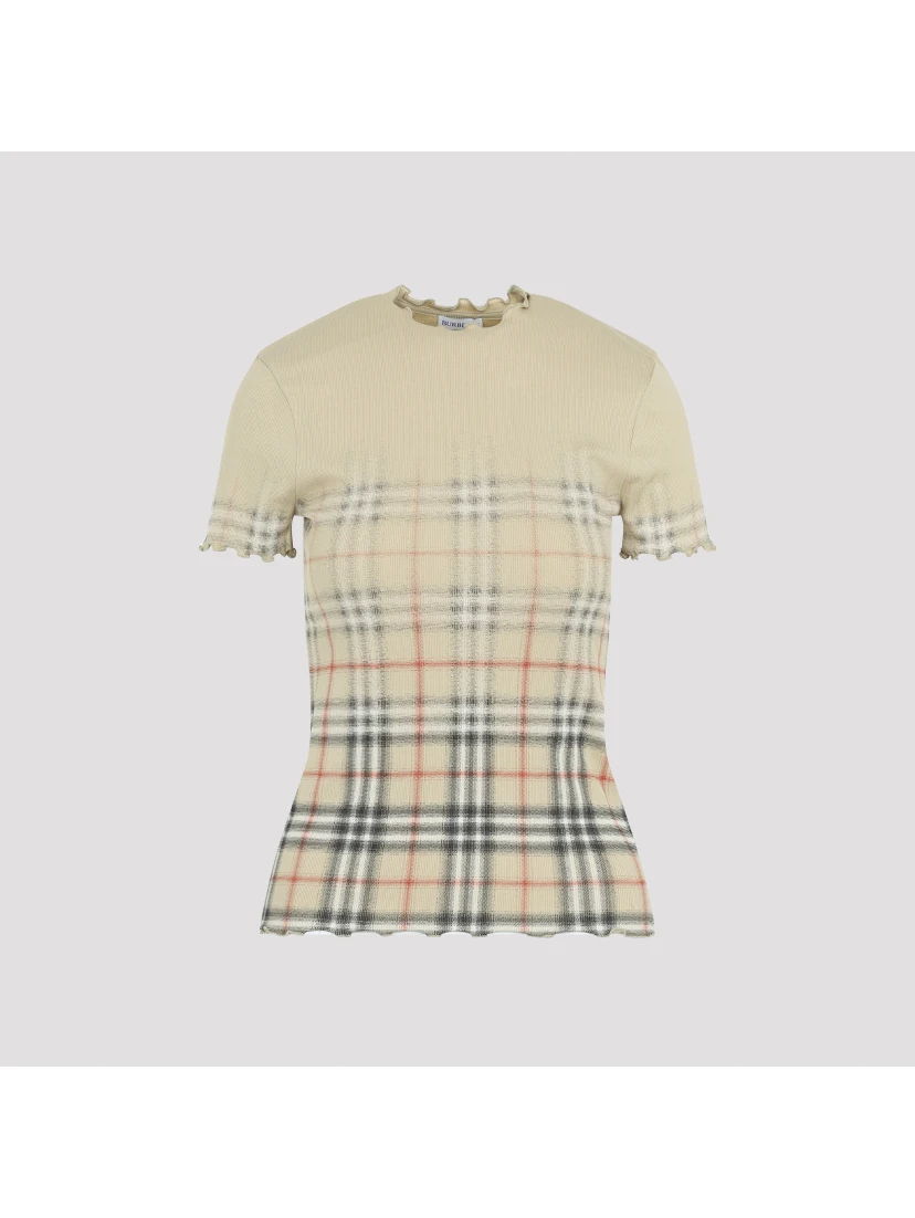 LETTY DEGRADE TSHIRTR