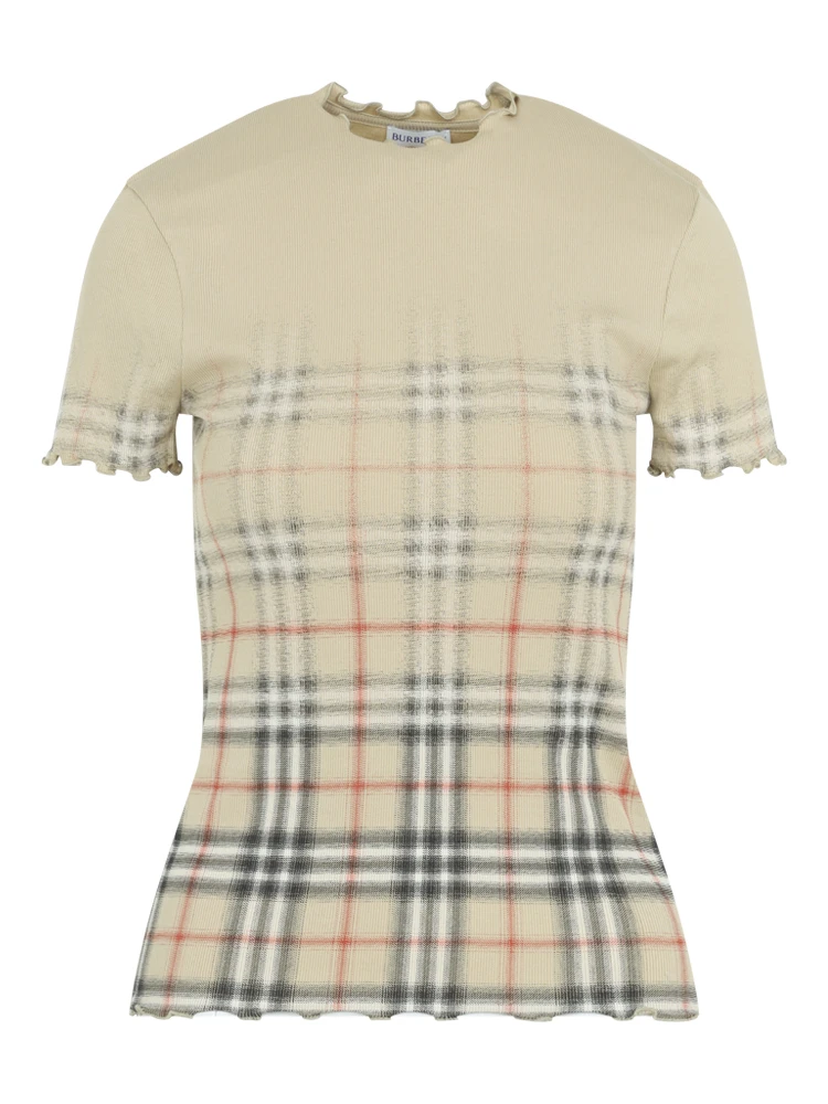 LETTY DEGRADE TSHIRTR alternative