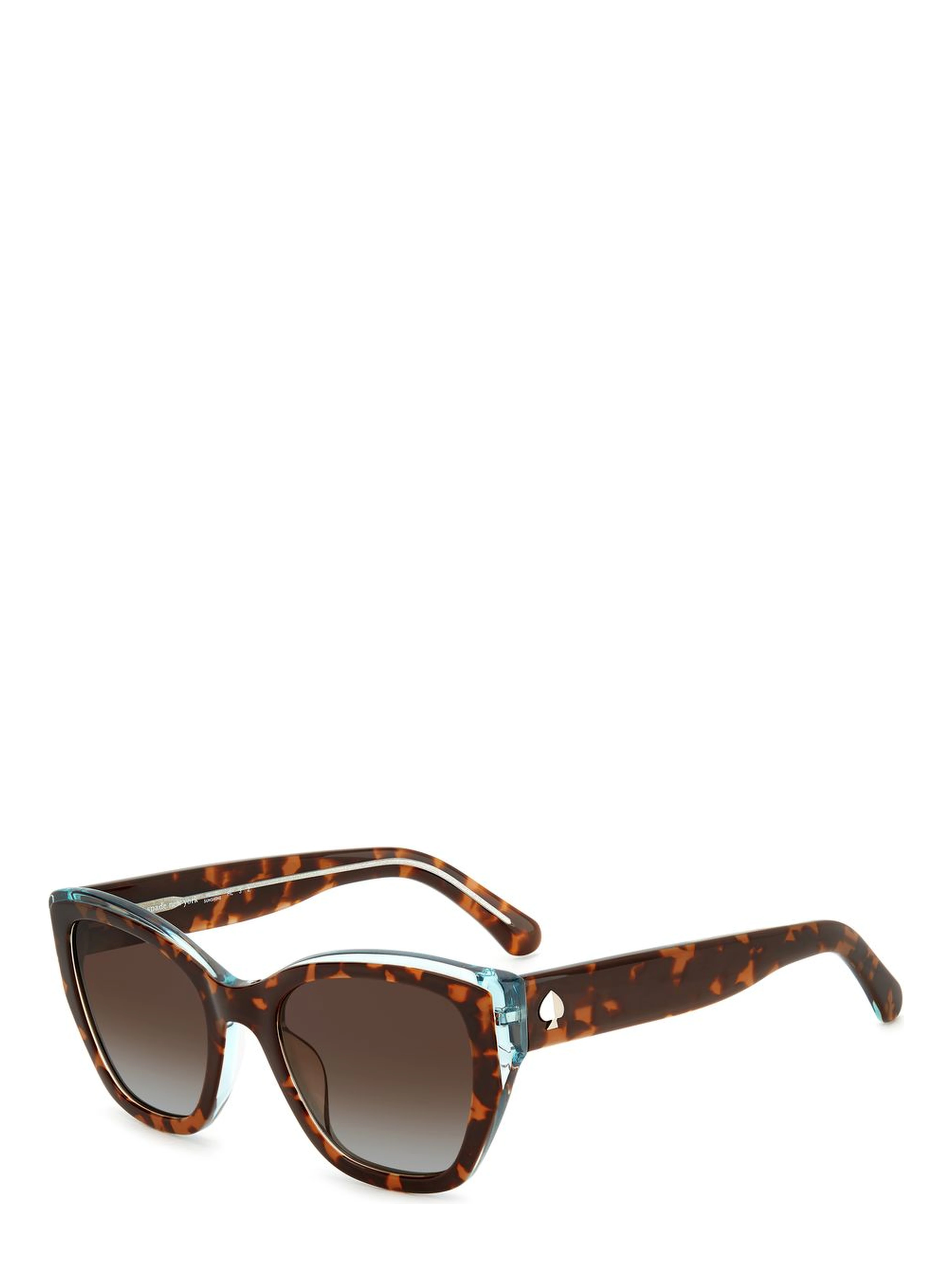 Brown Acetate Sunglasses