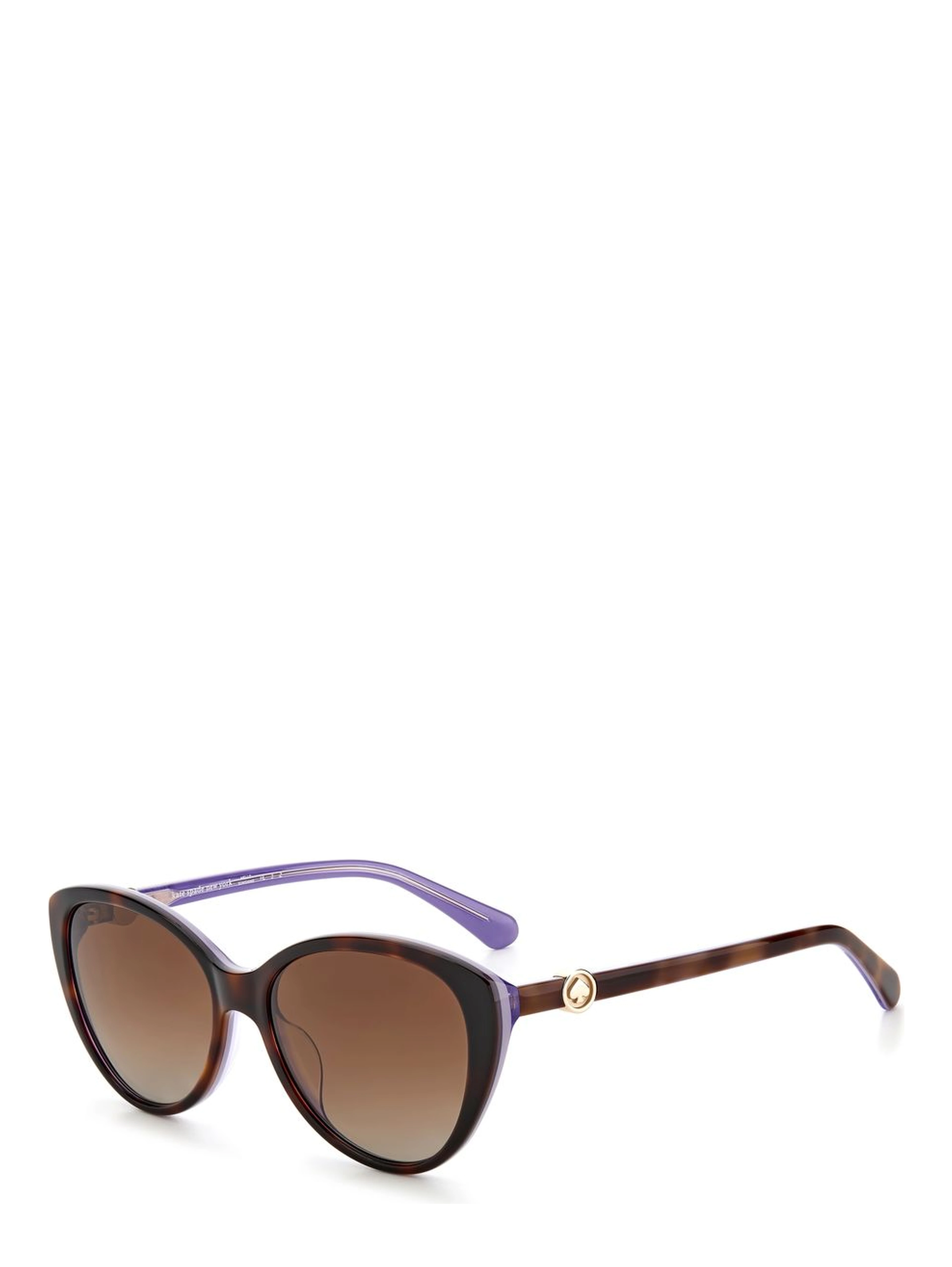 Brown Acetate Sunglasses