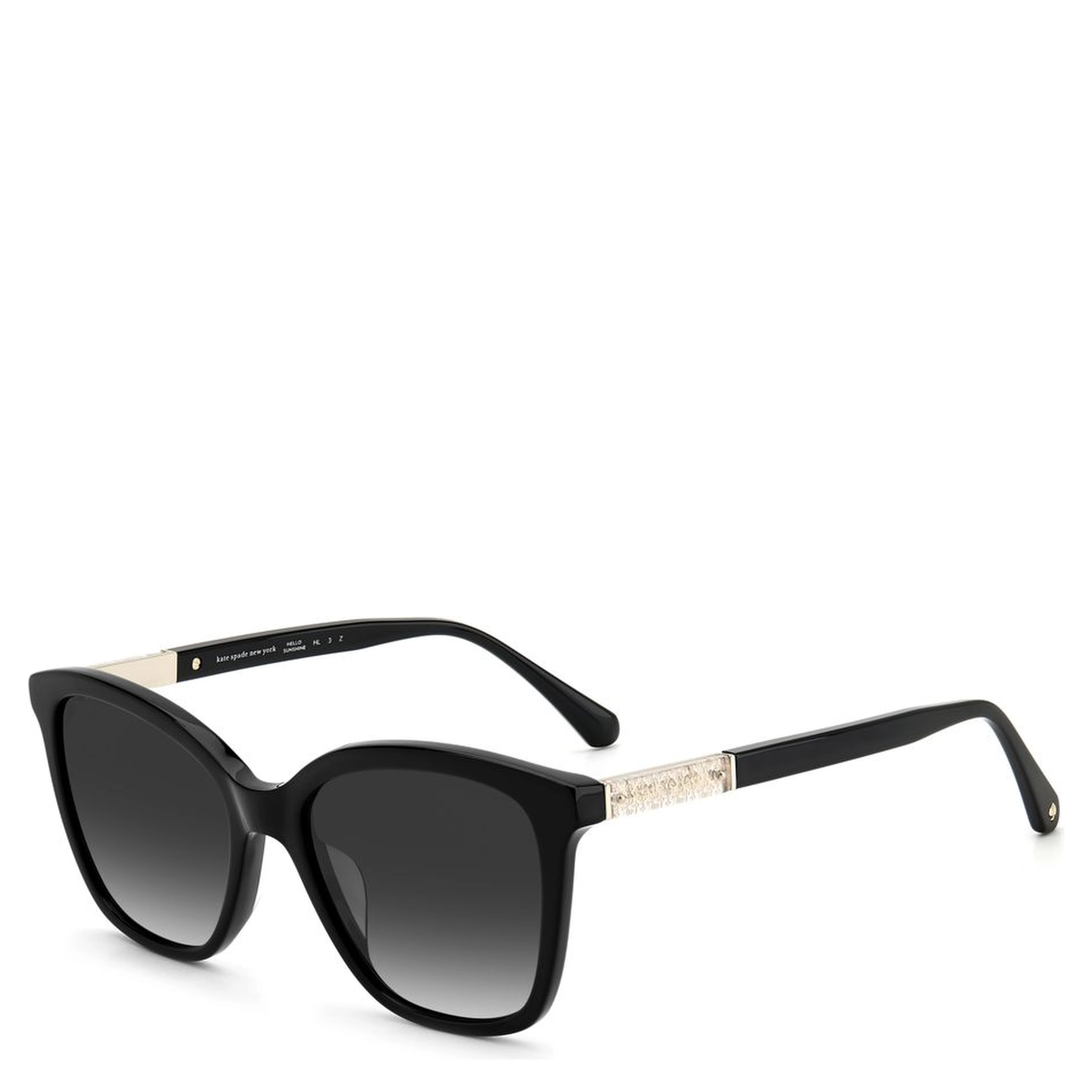 Black Acetate Sunglasses