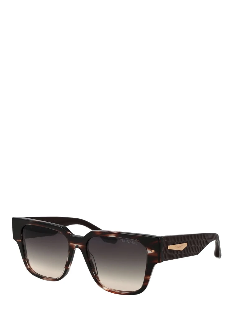 Brown Acetate Sunglasses