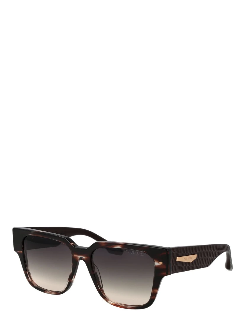Brown Acetate Sunglasses