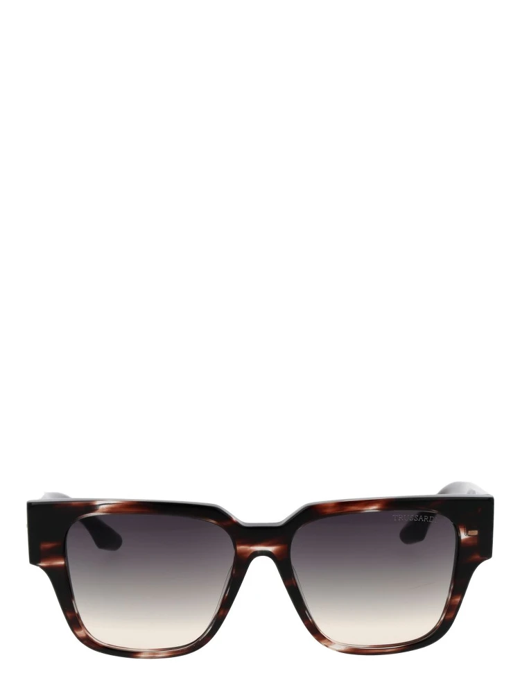 Brown Acetate Sunglasses alternative