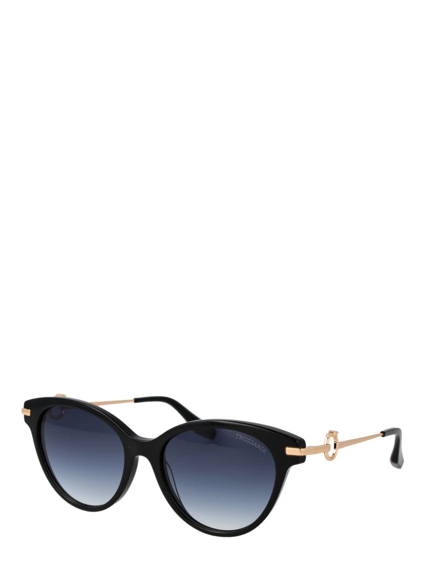 Black Acetate Sunglasses