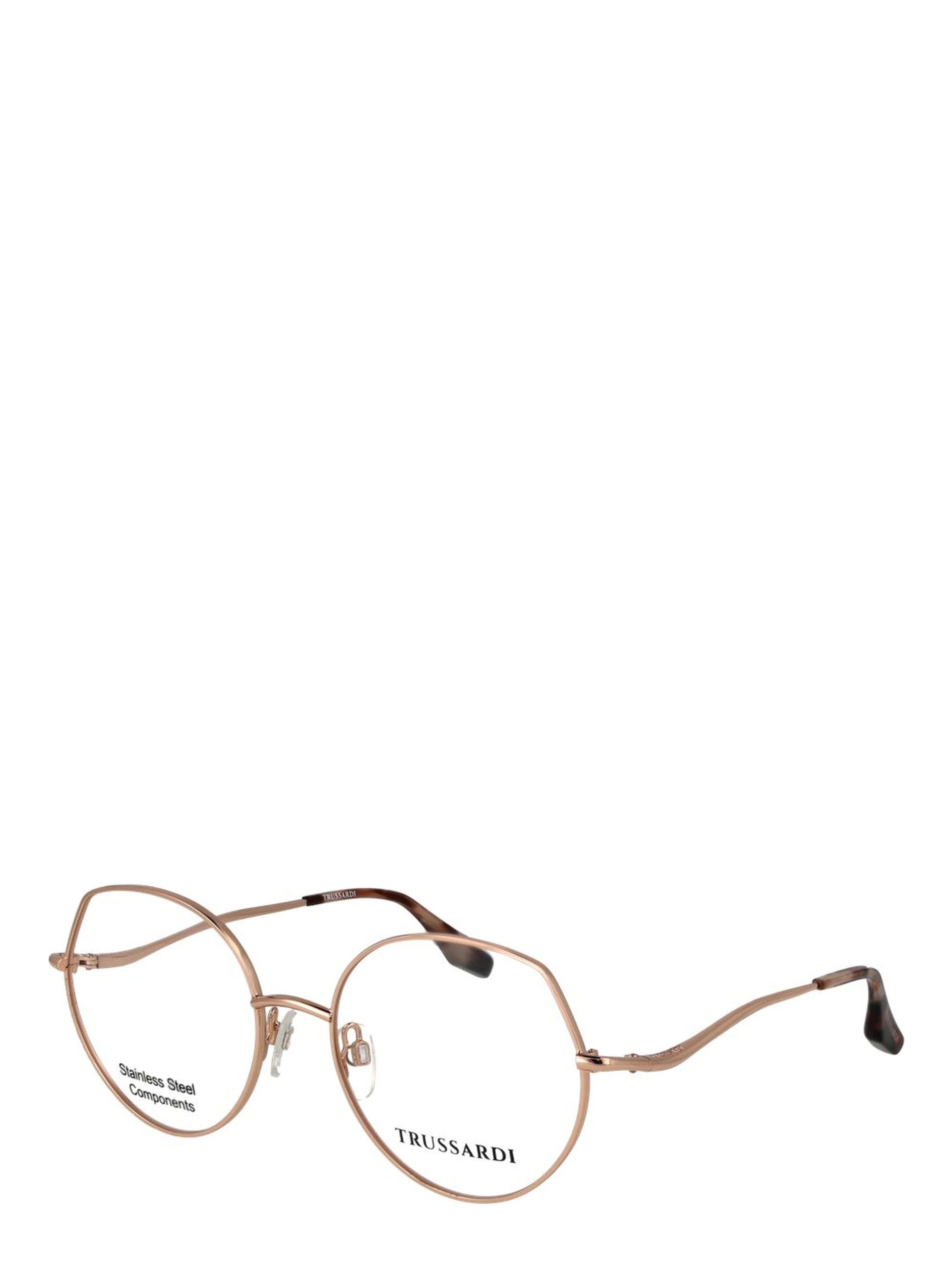 Rose Gold Stainless Steel Glasses (Frames)