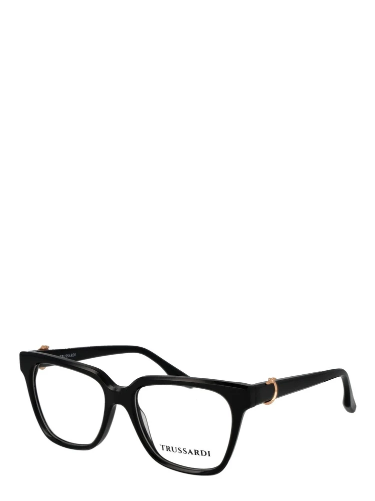 Black Acetate Glasses (Frames)