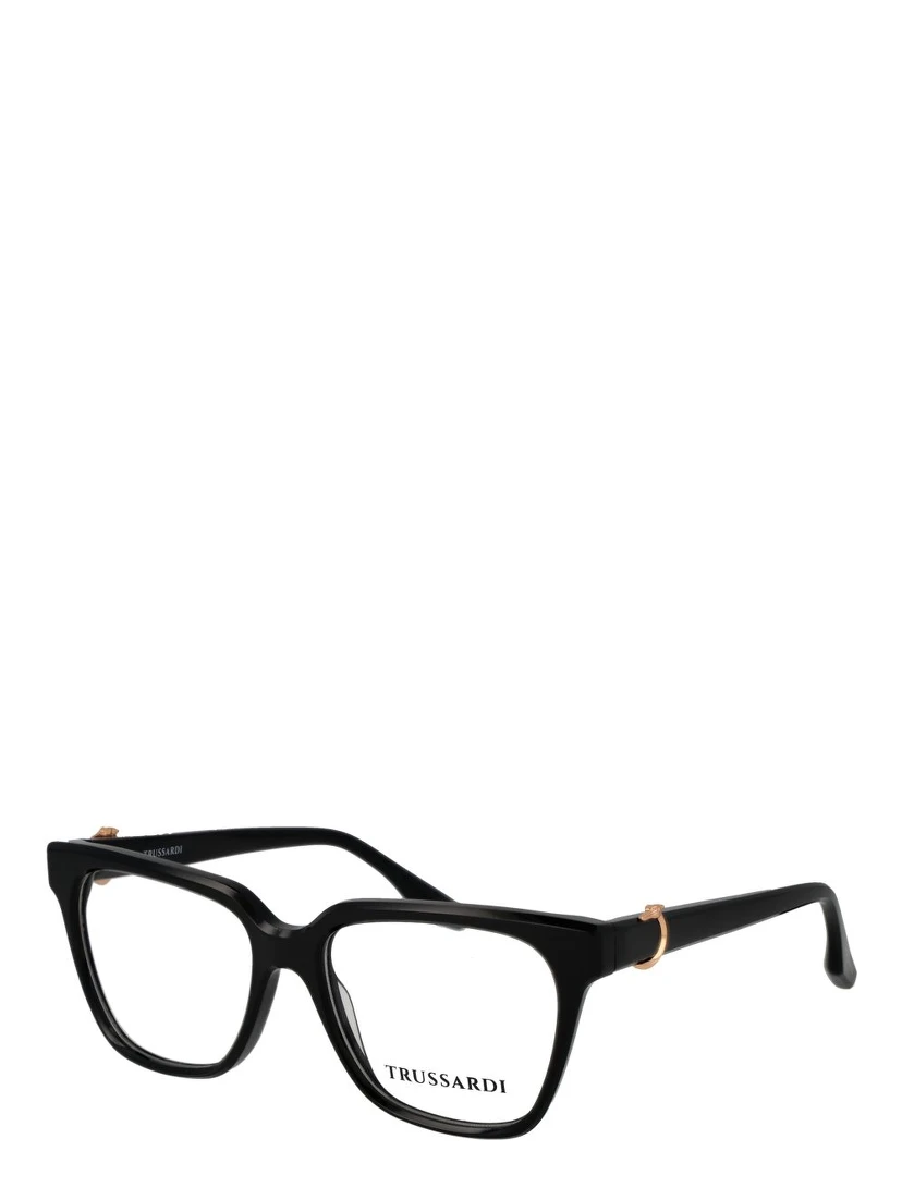 Black Acetate Glasses (Frames)