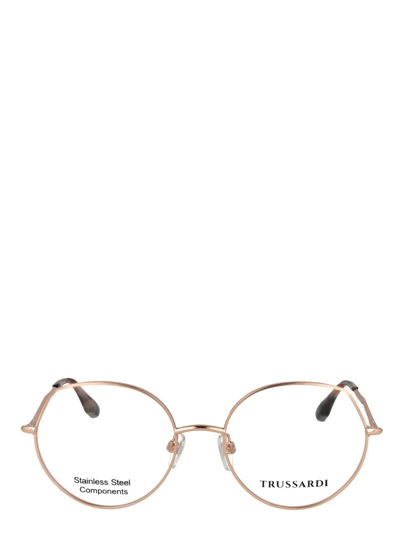 Rose Gold Stainless Steel Glasses (Frames)