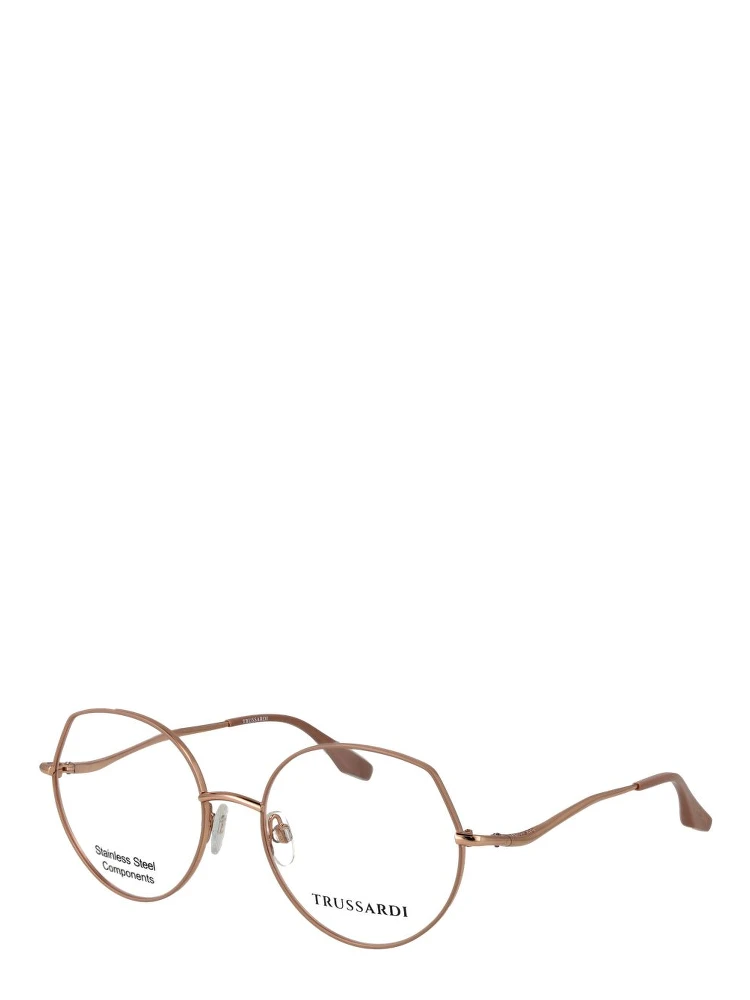 Pink Stainless Steel Glasses (Frames)
