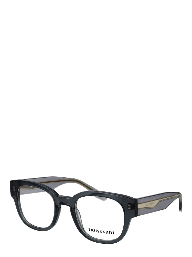 Gray Acetate Glasses (Frames)