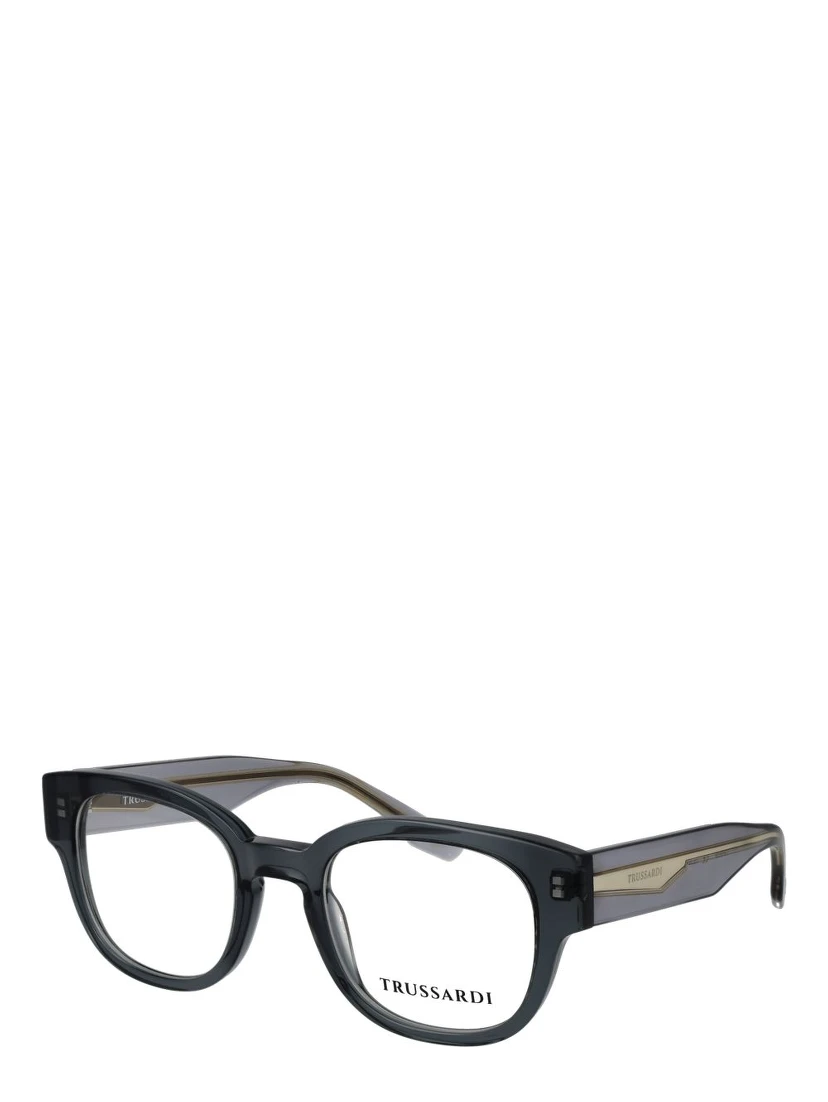 Gray Acetate Glasses (Frames)