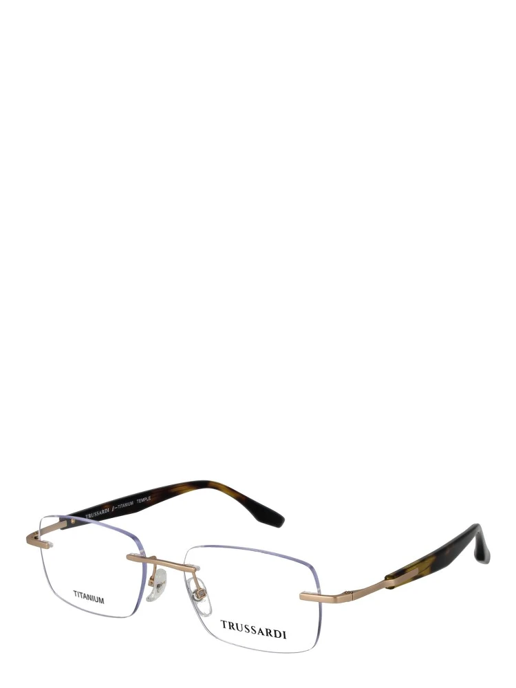 Gold Stainless Steel Glasses (Frames)