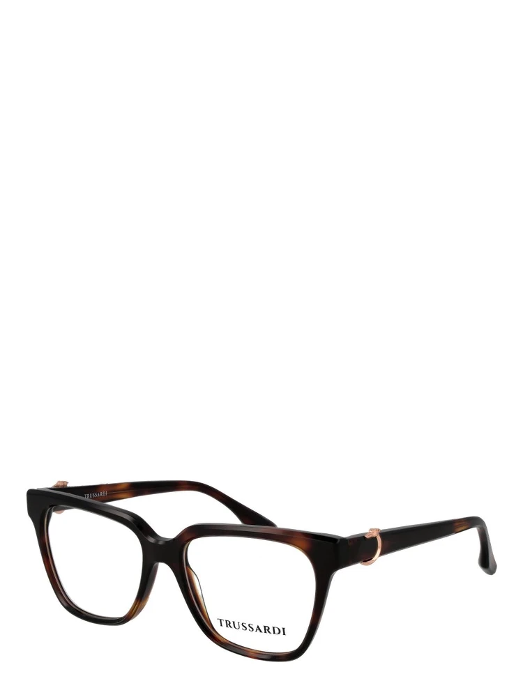 Brown Acetate Glasses (Frames)