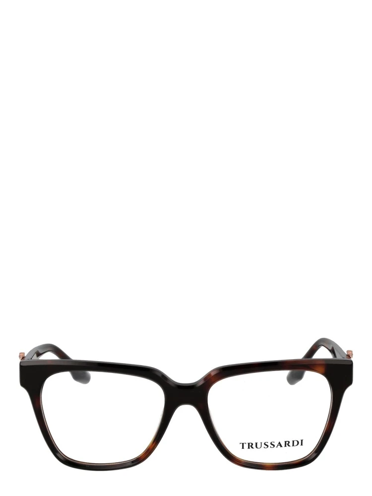 Brown Acetate Glasses (Frames) alternative