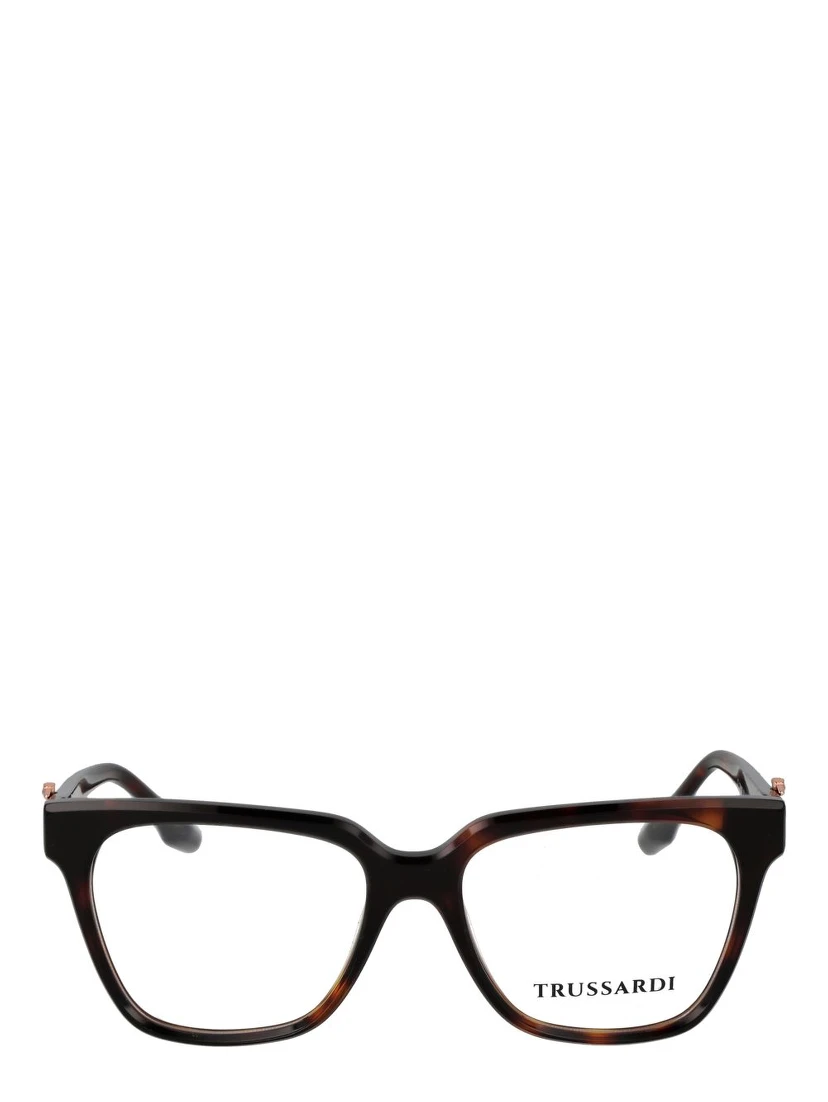Brown Acetate Glasses (Frames)