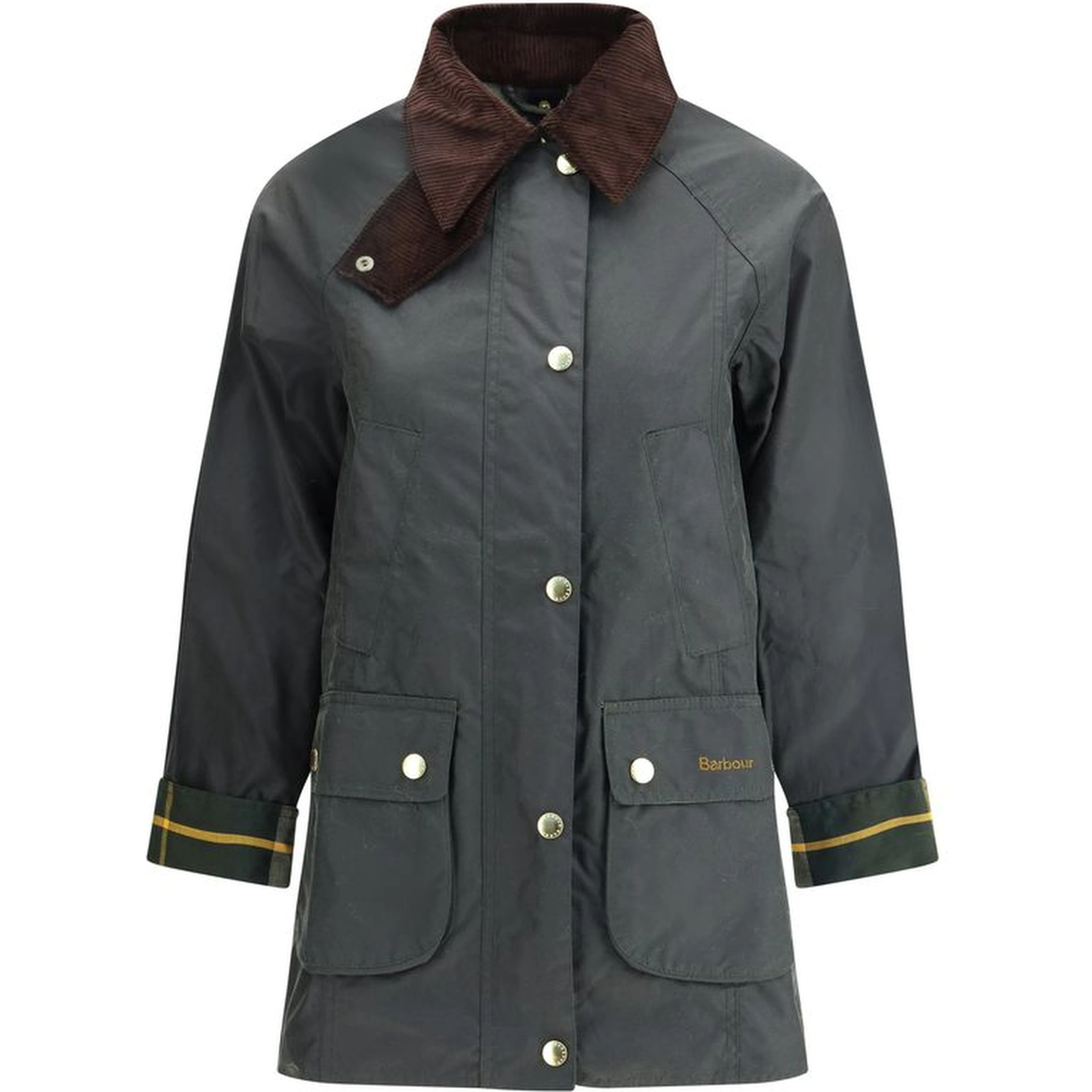 Bicolor Cotton Coat