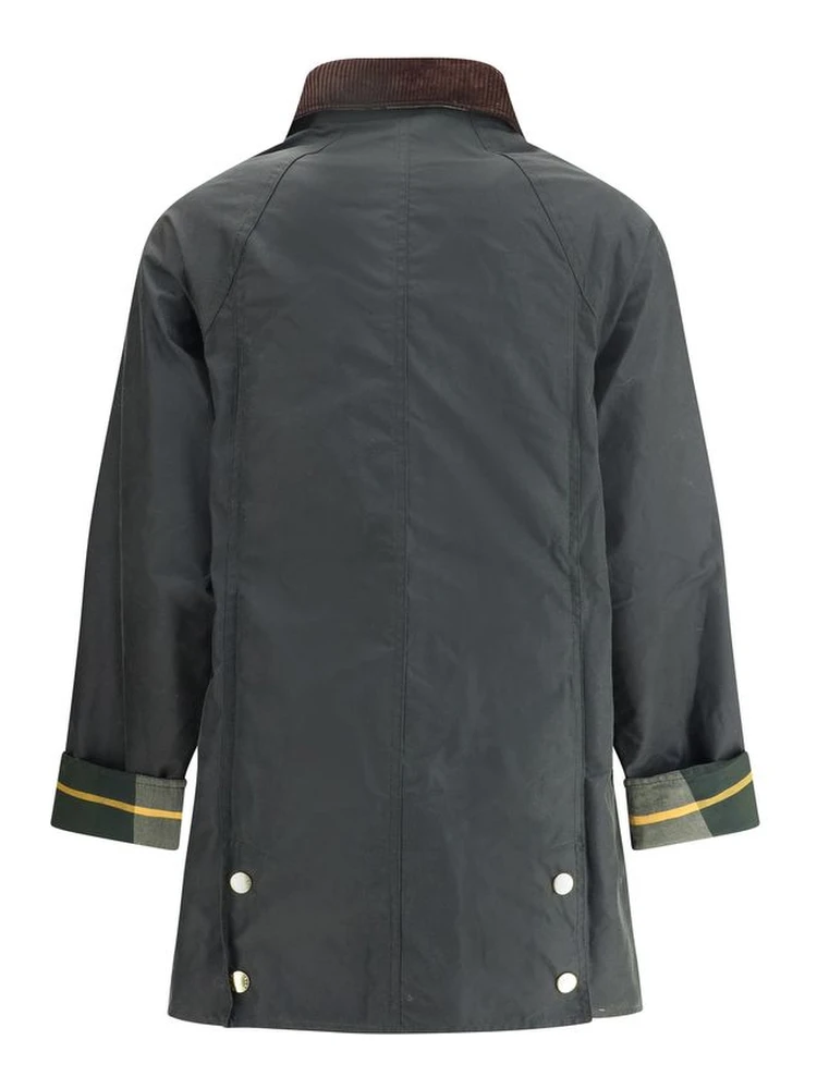 Bicolor Cotton Coat alternative