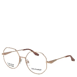 Rose Gold Stainless Steel Glasses (Frames)
