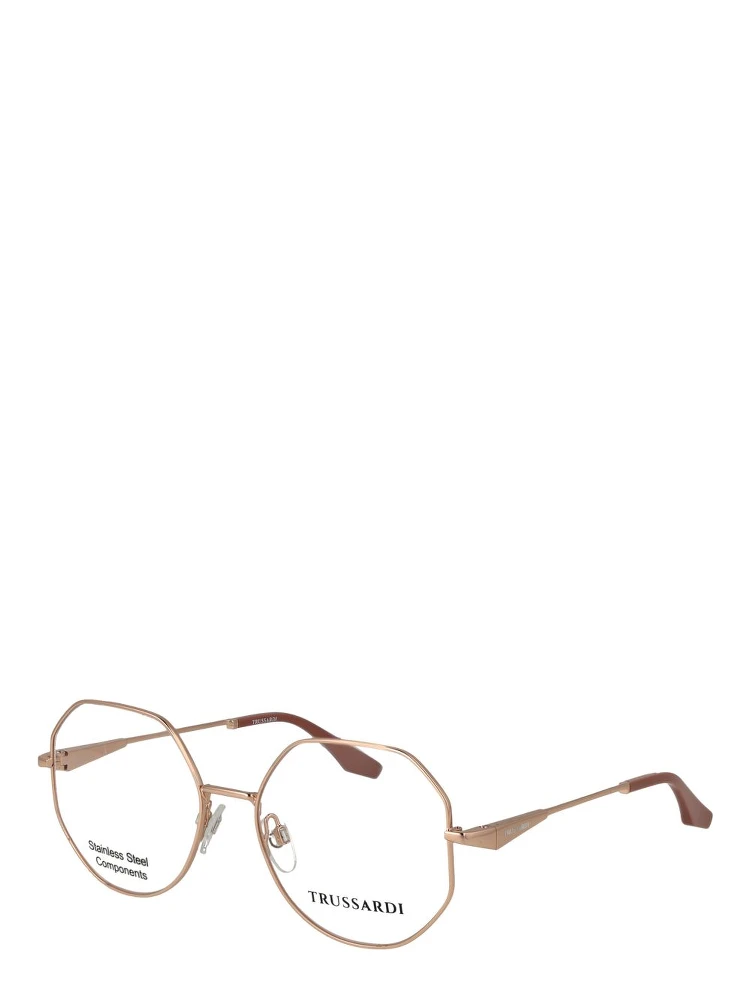 Rose Gold Stainless Steel Glasses (Frames)