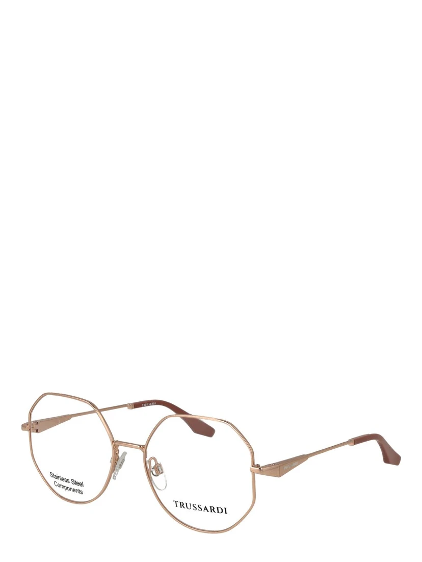 Rose Gold Stainless Steel Glasses (Frames)