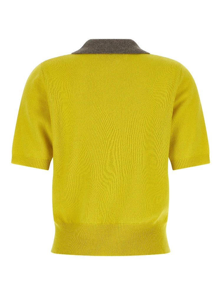 Bicolor Cashmere Polo Shirt alternative