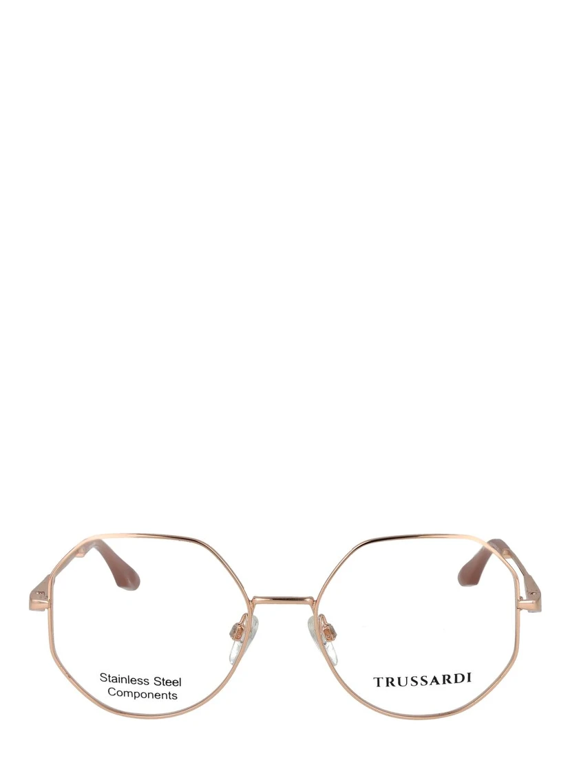 Rose Gold Stainless Steel Glasses (Frames)
