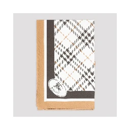 Burberry Check Foulard