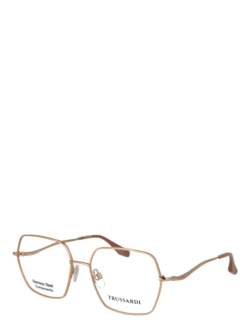 Rose Gold Stainless Steel Glasses (Frames)