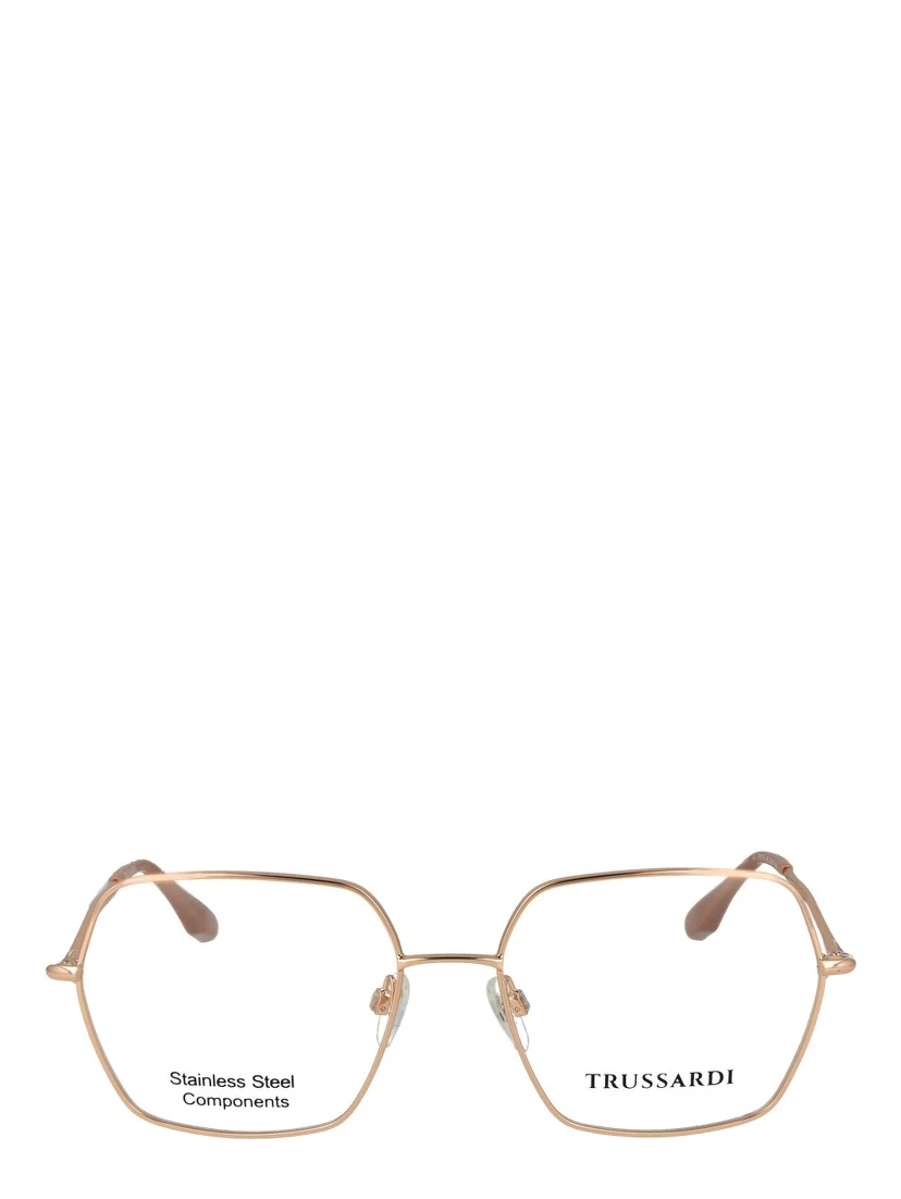 Rose Gold Stainless Steel Glasses (Frames)