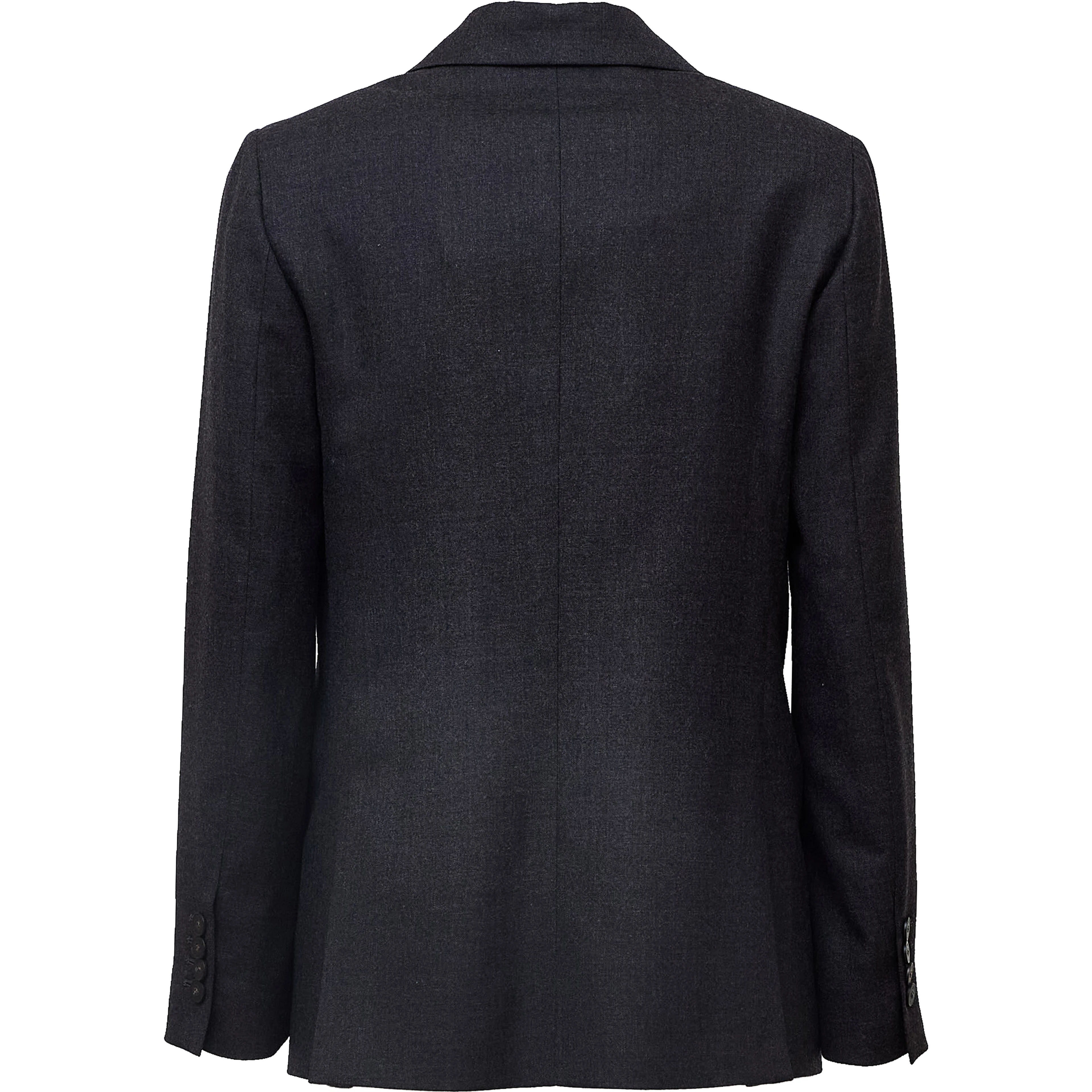 Blazer Terrie