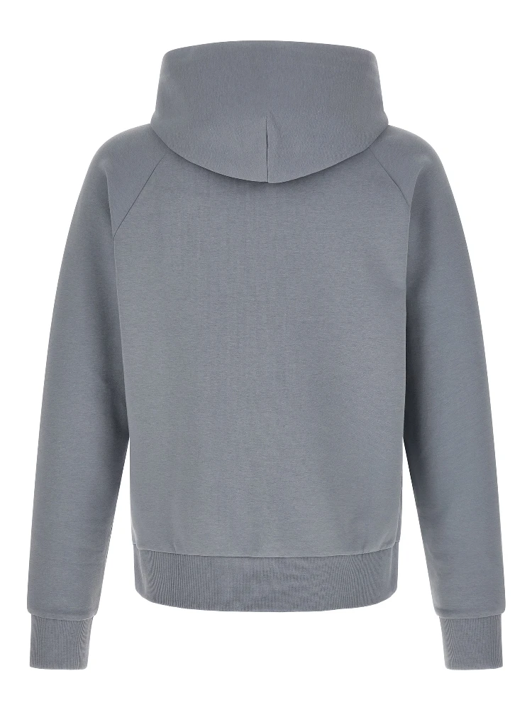 Gray Cotton Sweatshirt alternative