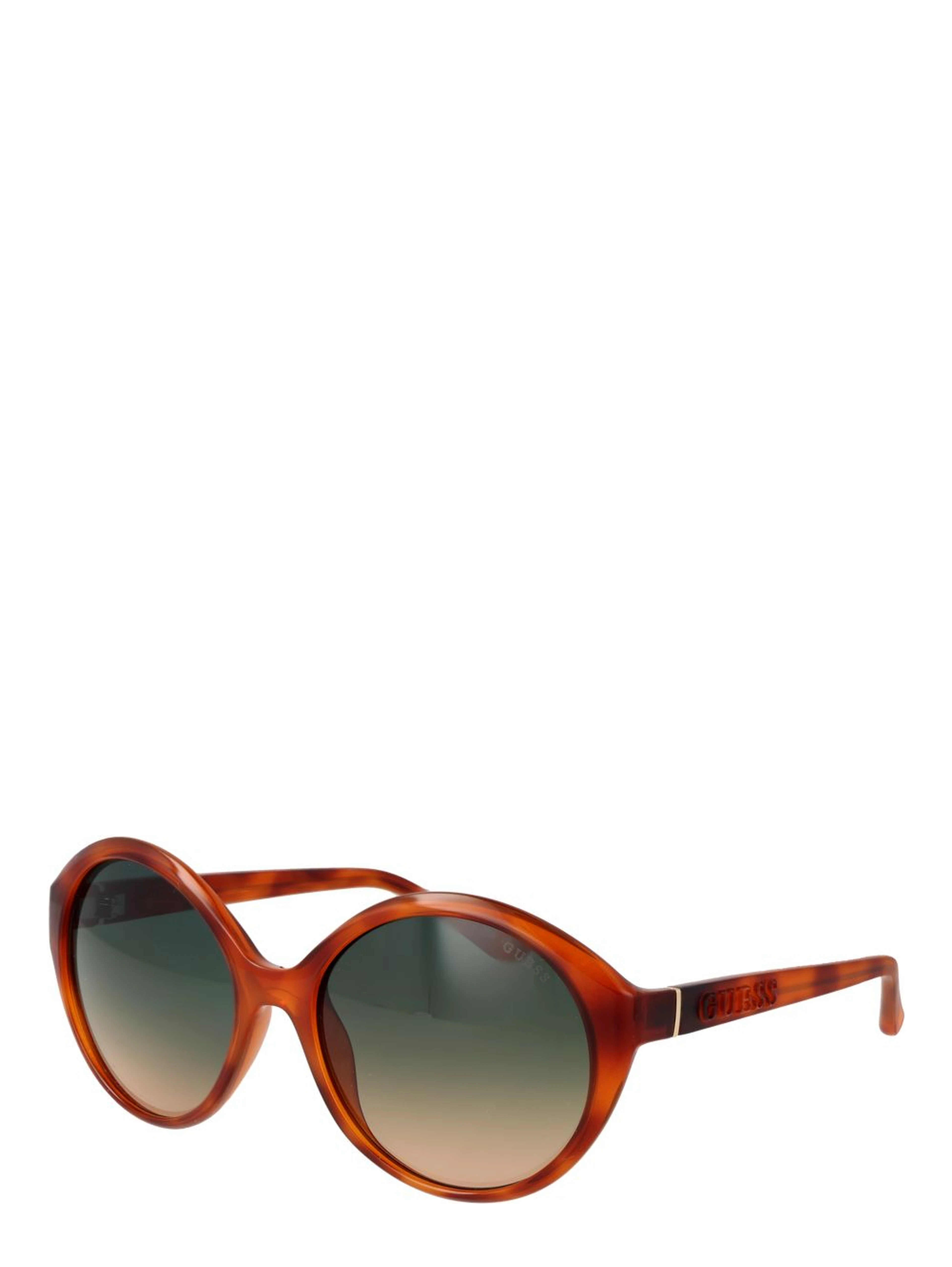 Brown Plastic Sunglasses