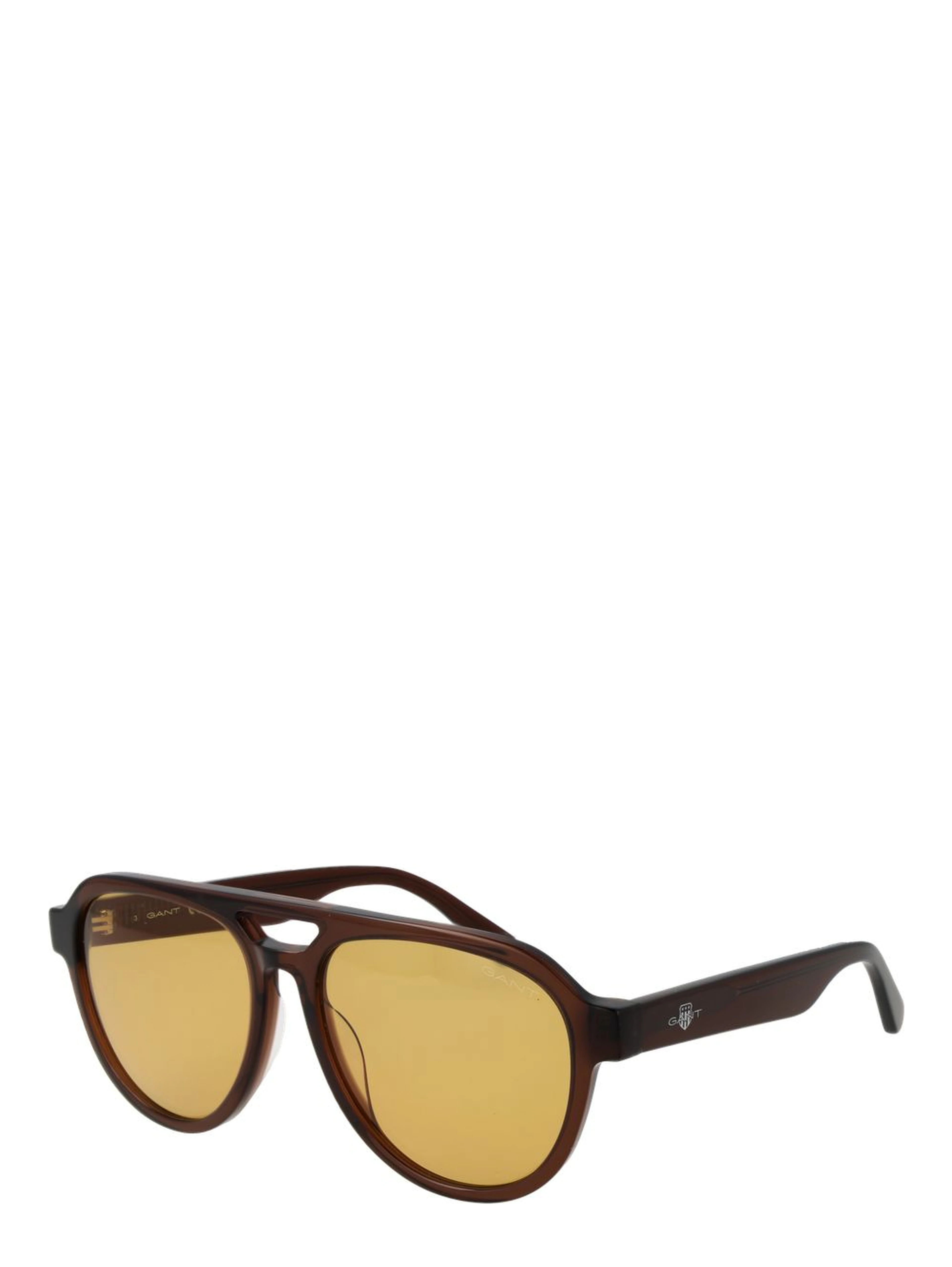 Brown Acetate Sunglasses