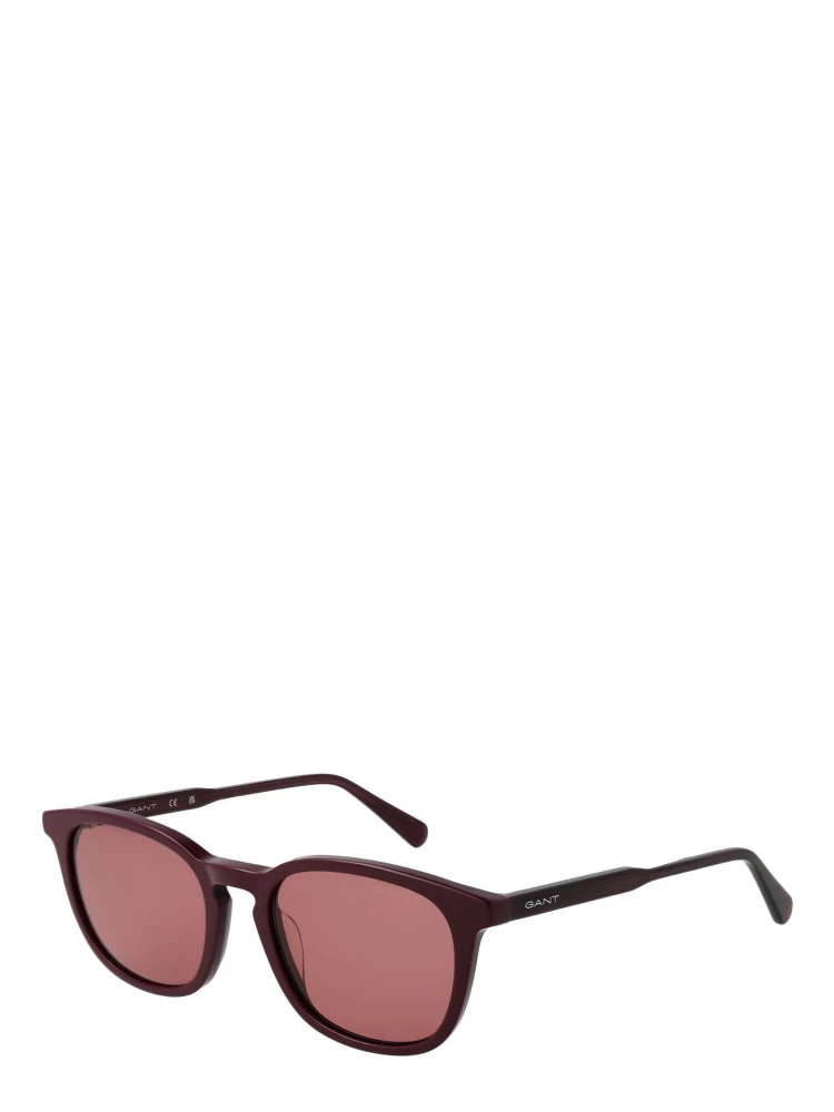 Purple Acetate Sunglasses