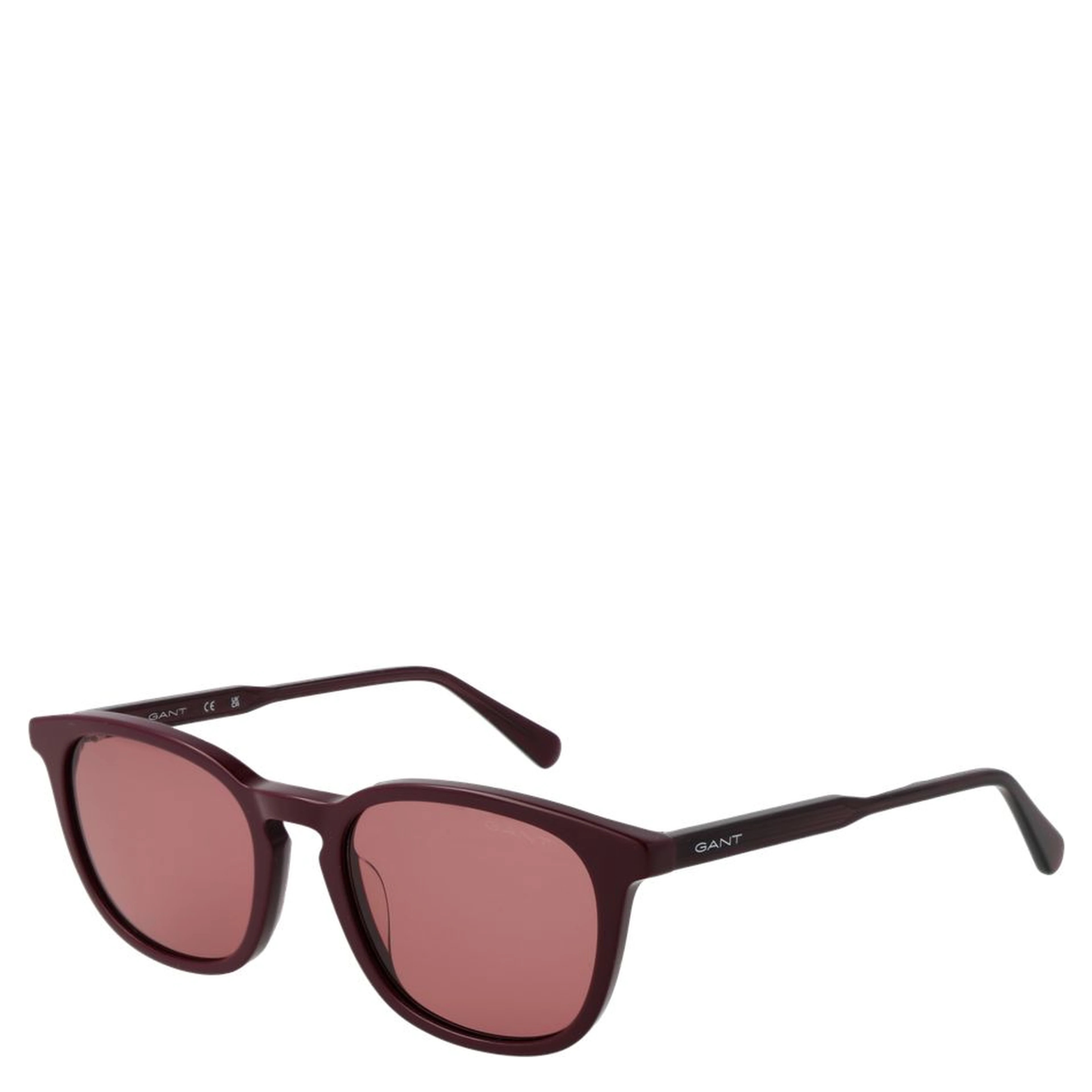 Purple Acetate Sunglasses