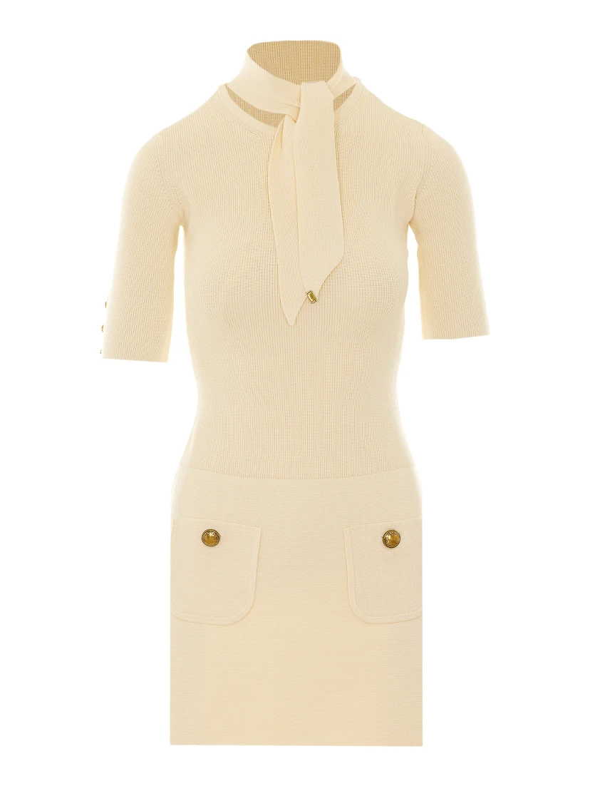Elisabetta Franchi Dresses