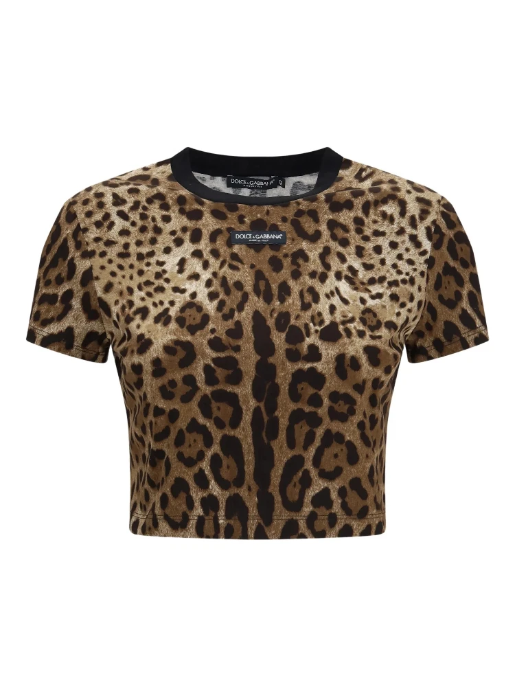 Dolce & Gabbana T-shirts and Polos